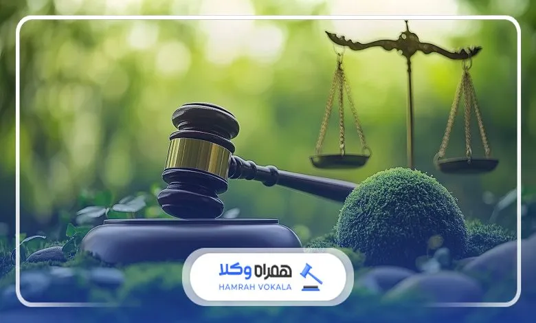 اهمیت دریافت مشاوره از بهترین وکیل منابع طبیعی تبریز